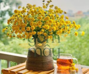 5 Mẫu đầm vuông gốm bé bé nhỏ xinh
